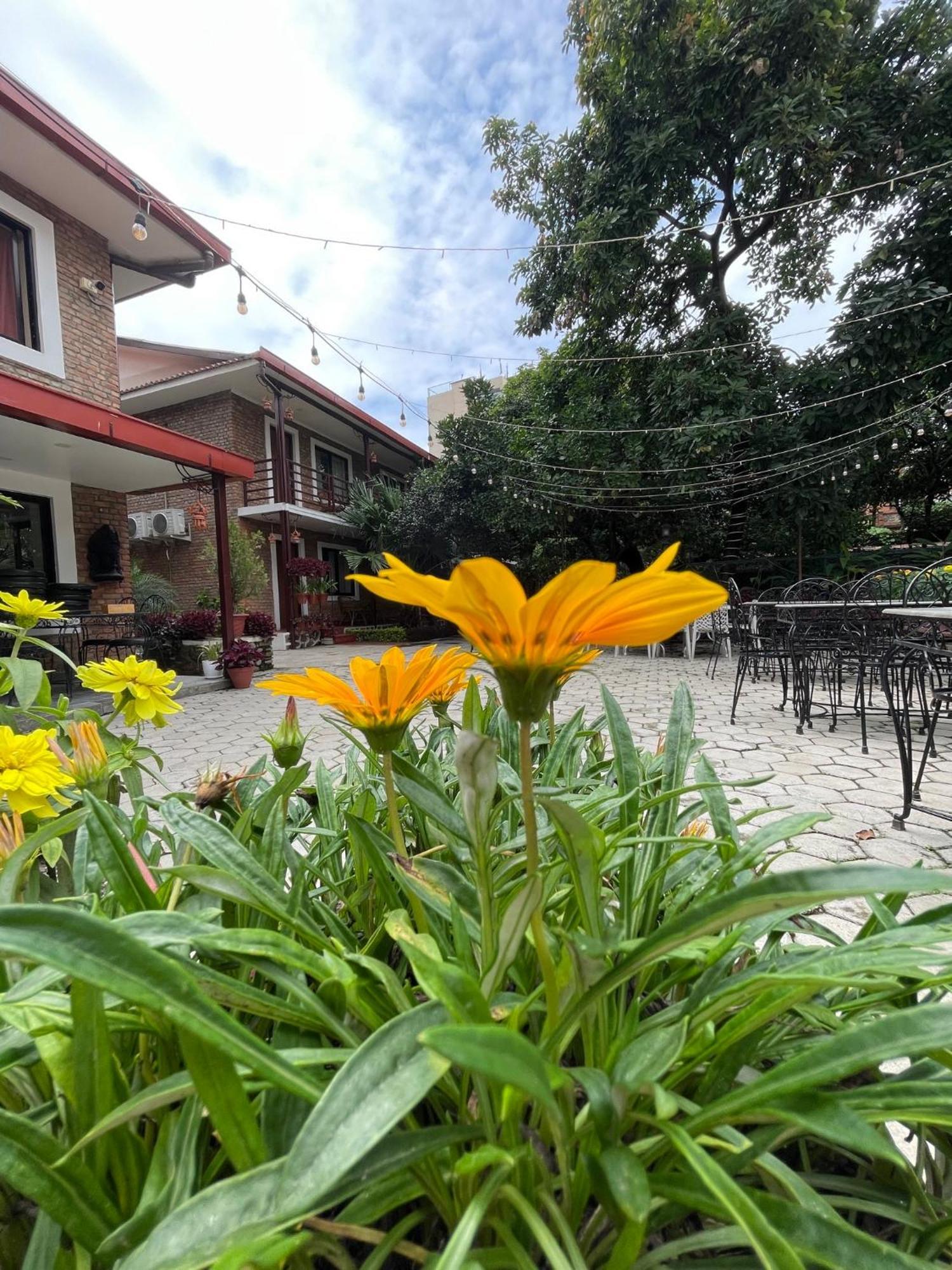 Nepal Cottage Resort Kathmandu Exterior foto